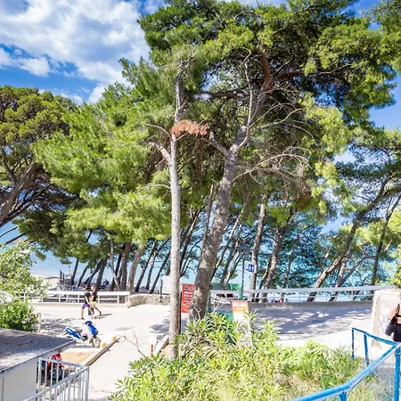 Beachfront Wave Srzic Makarska