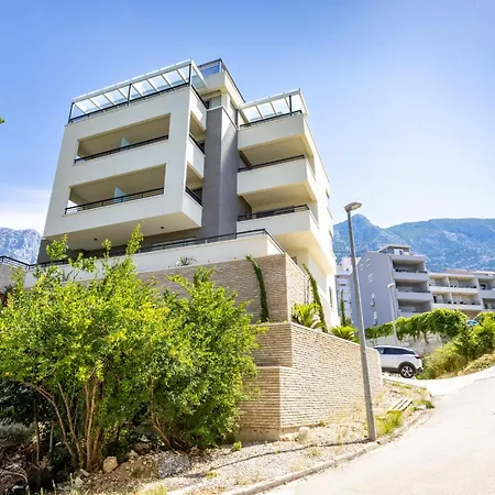 Beachfront Wave Srzic