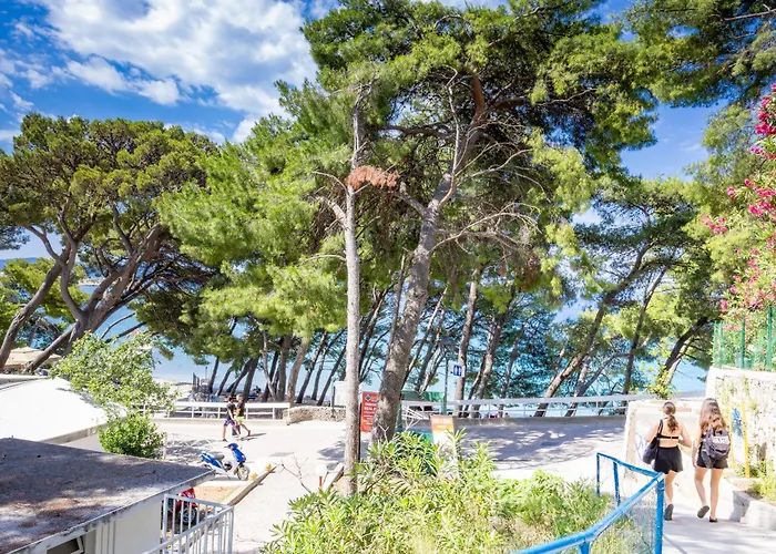 Beachfront Wave Srzic 마카르스카